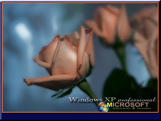 383978 (a): :1280x960